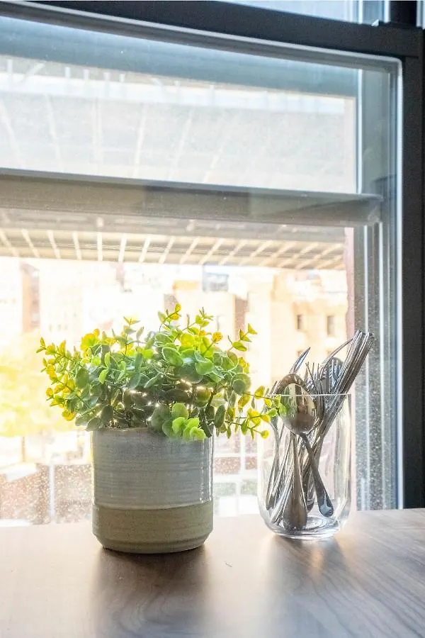 Manhattan Bridge Cozy Apartments 30 Day Rentals New York